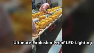 ฟลัดไลท์ LED กันน้ำ IP65 ที่ได้รับการรับรอง ATEX พร้อมกระจกนิรภัยสำหรับพื้นที่อันตราย