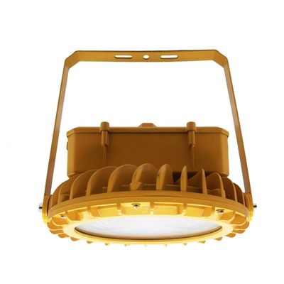 โคมไฟเพดาน 30W ติดตั้ง IP66 ป้องกันการระเบิดสำหรับพื้นที่อันตราย