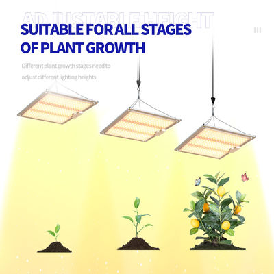 600w HPS 4x4 โคมไฟพืชเจริญเติบโต ส่งเสริมการดอกไม้และผลไม้
