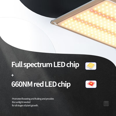 200w LED T5 ไฟปรับปรุงการเจริญเติบโต ระบบแสงเรือนกระจก