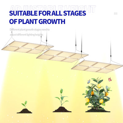 ไฟปลูก LED Full Spectrum 600W พร้อมฟังก์ชันปรับแสงได้ เพื่อการเจริญเติบโตของพืชอย่างเหมาะสม