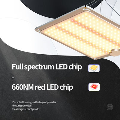 ไฟปลูก LED Full Spectrum 600W พร้อมฟังก์ชันปรับแสงได้ เพื่อการเจริญเติบโตของพืชอย่างเหมาะสม