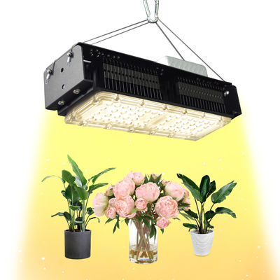 50W Full Spectrum LED Grow Light สําหรับพืชภายในห้องด้วยไฟฟ้า AC85-265V