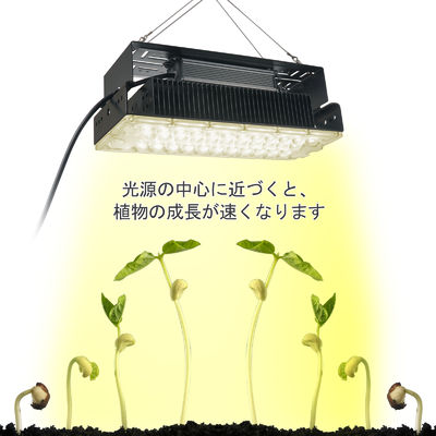 100W Full Spectrum LED Grow Light พร้อม LED SMD3030 สําหรับพืชภายในและสวน