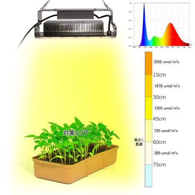 100W Full Spectrum LED Grow Light พร้อม LED SMD3030 สําหรับพืชภายในและสวน