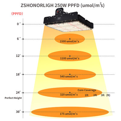 ไฟปลูก LED T5 Full Spectrum 250W พร้อมระบบจัดการความร้อนแบบ Passive สำหรับพืชในร่ม
