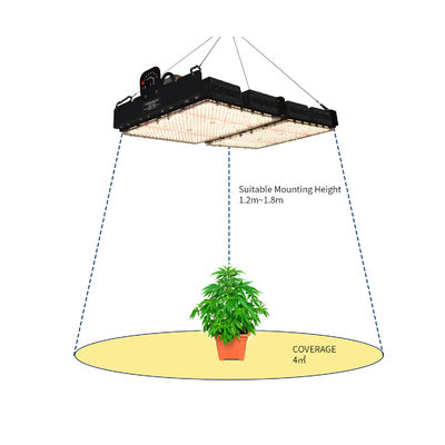 การอ่าน PPFD ไฟ LED สำหรับปลูกพืชในร่ม NR Specturm