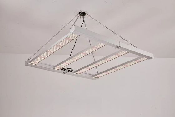 โหลด 4T LED Grow Light 600W 800W สําหรับการค้า
