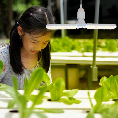 ไฟ LED ขนาดเล็ก พร้อมสายสีเต็ม + 660nm และ IP68 กันน้ําสําหรับการเจริญเติบโตของพืชภายใน