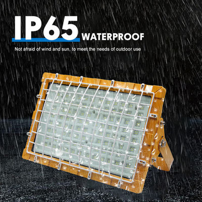 SMD2835/3030 ไฟ LED ป้องกันการระเบิด 100-110lm/W IP66 สำหรับโรงงานและพื้นที่อันตราย