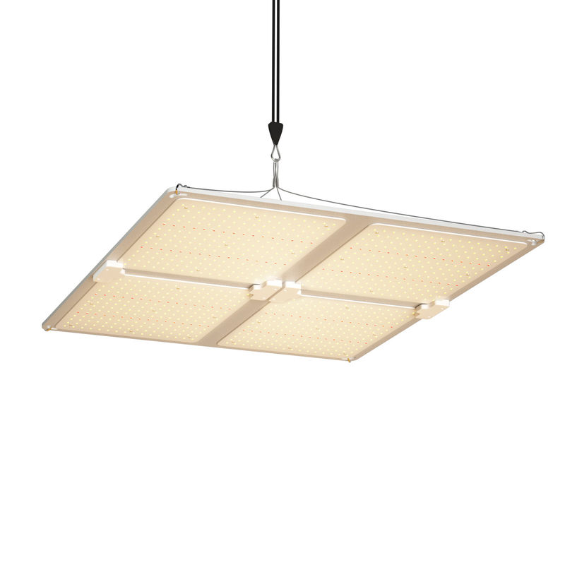 ไฟปลูก LED สเปกตรัมเต็มรูปแบบ 400W พร้อมความสูงในการแขวนที่ปรับได้สำหรับการปลูกพืชในร่ม