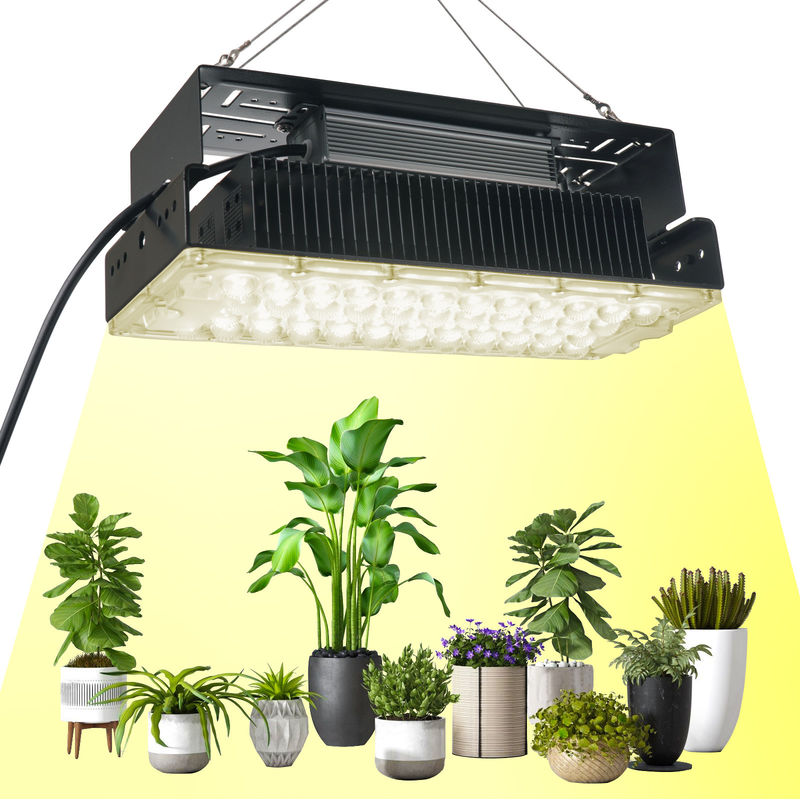 100W Full Spectrum LED Grow Light พร้อม LED SMD3030 สําหรับพืชภายในและสวน