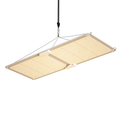 200W Full Spectrum Dimmable LED Grow Light ระบบแสงเรือนกระจก T5 สําหรับการเติบโตของพืช