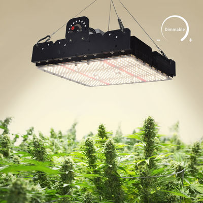ไฟปลูกต้นไม้ LED T5 แบบ Full Spectrum สำหรับพืชในร่ม 250w
