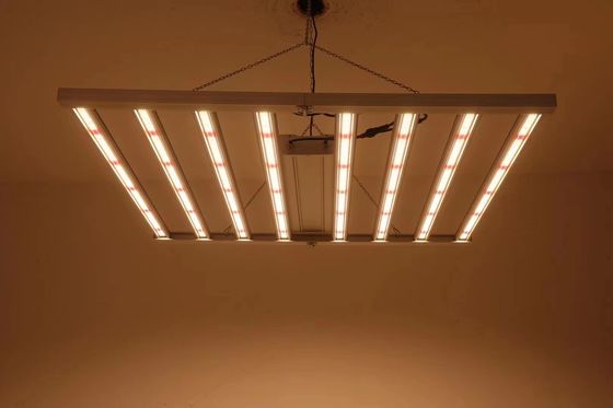 ไฟปลูก LED สเปกตรัมเต็ม 800W พร้อมมาตรฐานกันน้ำ IP65 สำหรับการปลูกพืชเชิงพาณิชย์